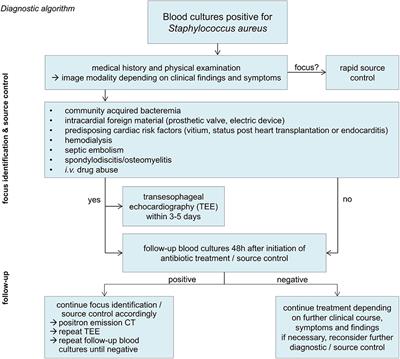 Management of Staphylococcus aureus Bloodstream Infections